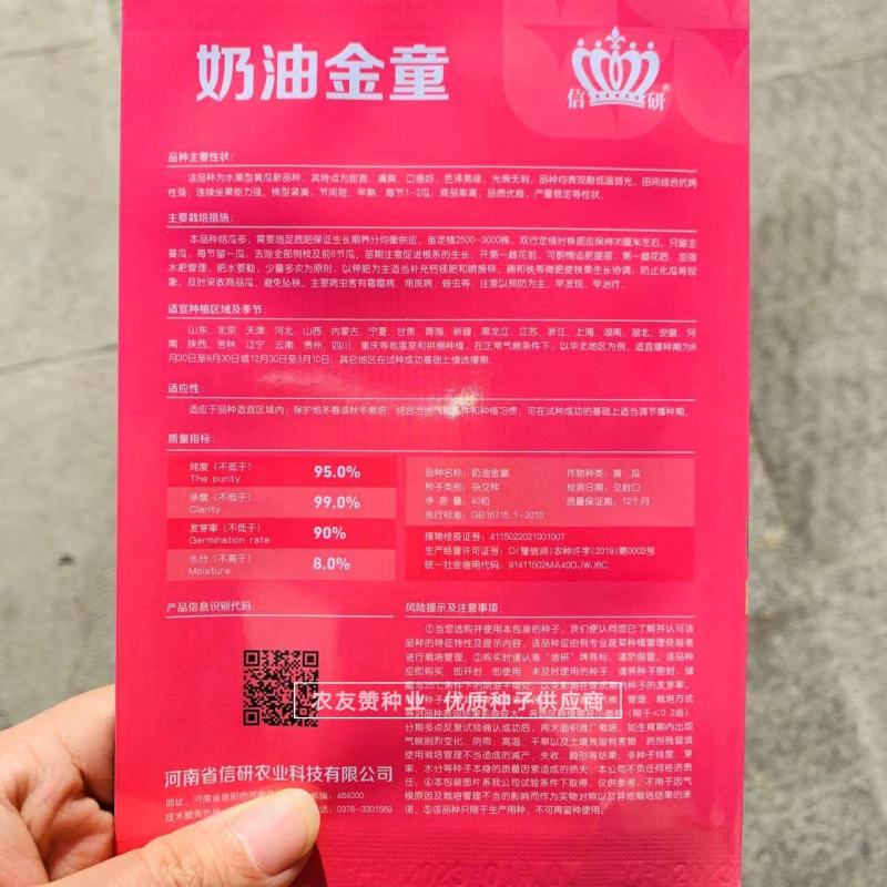 奶油金童黄瓜种子水果型黄瓜，无刺甜脆清爽小黄瓜种子
