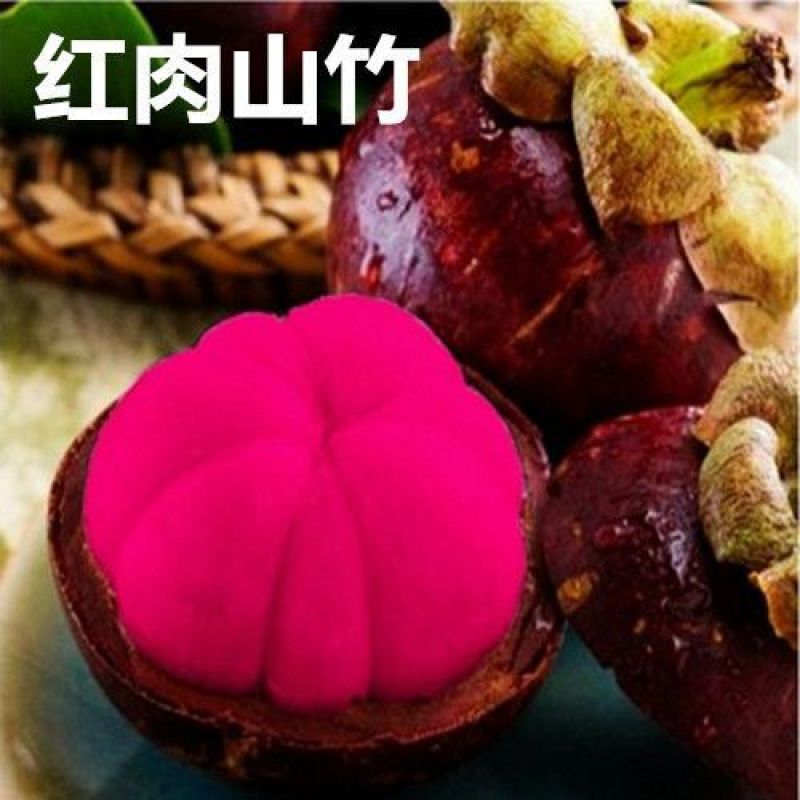新品无籽红肉山竹苗泰国山竹苗山竹树苗果树苗盆栽地栽耐寒