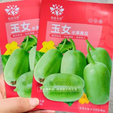 玉女水果黄瓜种子无刺黄瓜节节有瓜小黄瓜种子特好吃