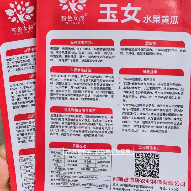 玉女水果黄瓜种子无刺黄瓜节节有瓜小黄瓜种子特好吃