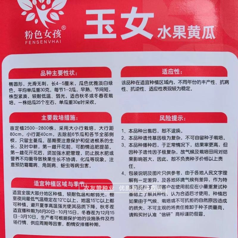 玉女水果黄瓜种子无刺黄瓜节节有瓜小黄瓜种子特好吃
