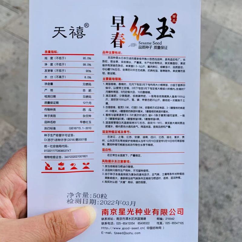 早春红玉西瓜种子日本引进特早熟小型西瓜品种礼品西瓜种子