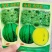 众天玉小兰西瓜种子抗病花皮黄瓤礼品西瓜种子早熟小果型