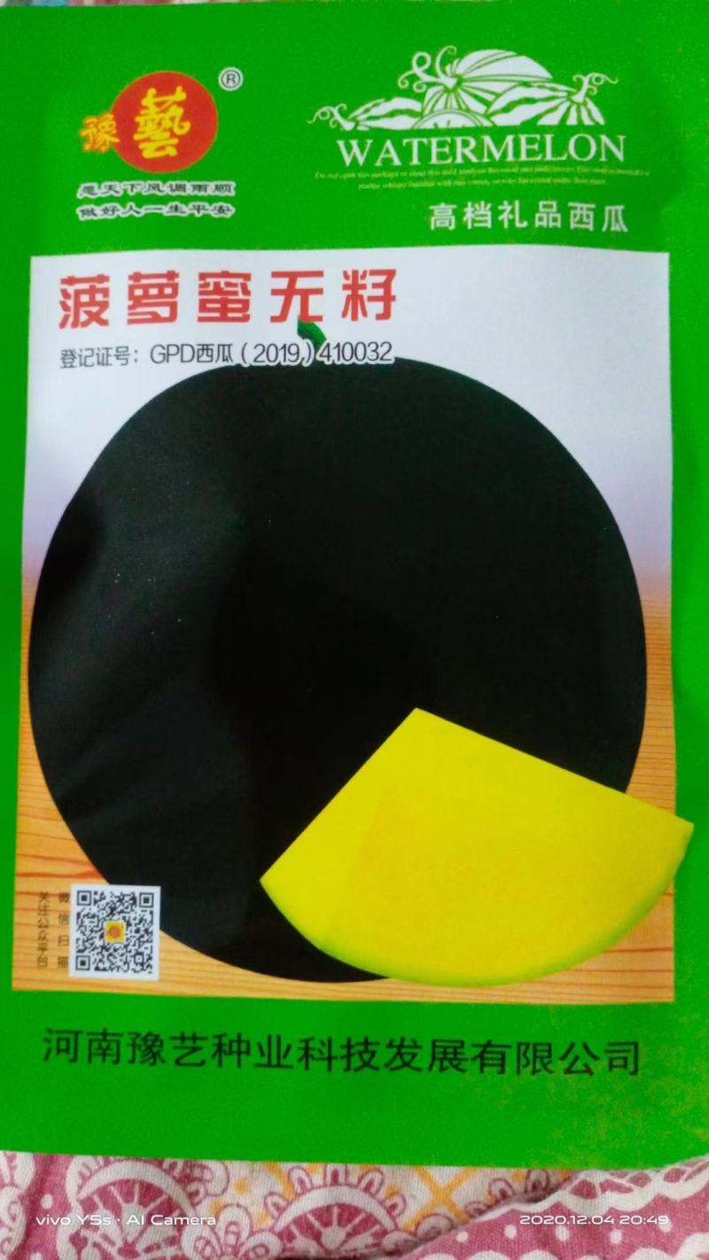 西瓜苗，美都，甜王，龙卷风，绿之秀，直播，嫁接一站式服务