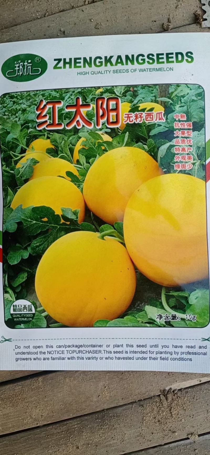 西瓜苗，美都，甜王，龙卷风，绿之秀，直播，嫁接一站式服务