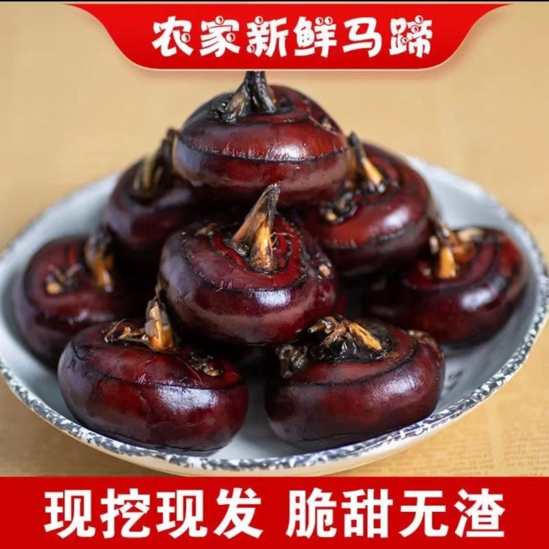 盐城特大红马蹄苗整车代收代发(全国电商一件代发)