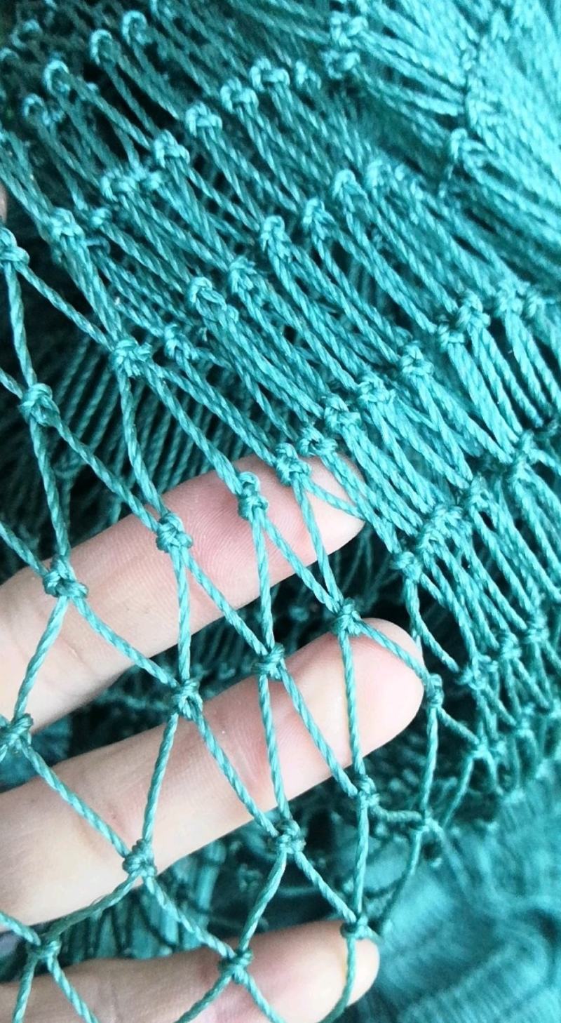 爬藤网菊花大葱韭黄蒜黄防倒网庭院爬藤网欢迎咨询采购