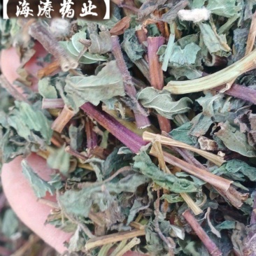 【薄荷】卜合产地自销产地一手货源大货供应规格齐全