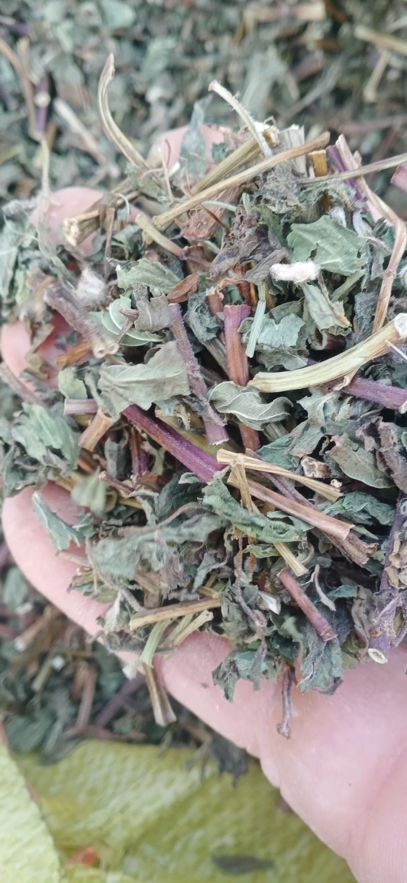 【薄荷】卜合产地自销产地一手货源大货供应规格齐全