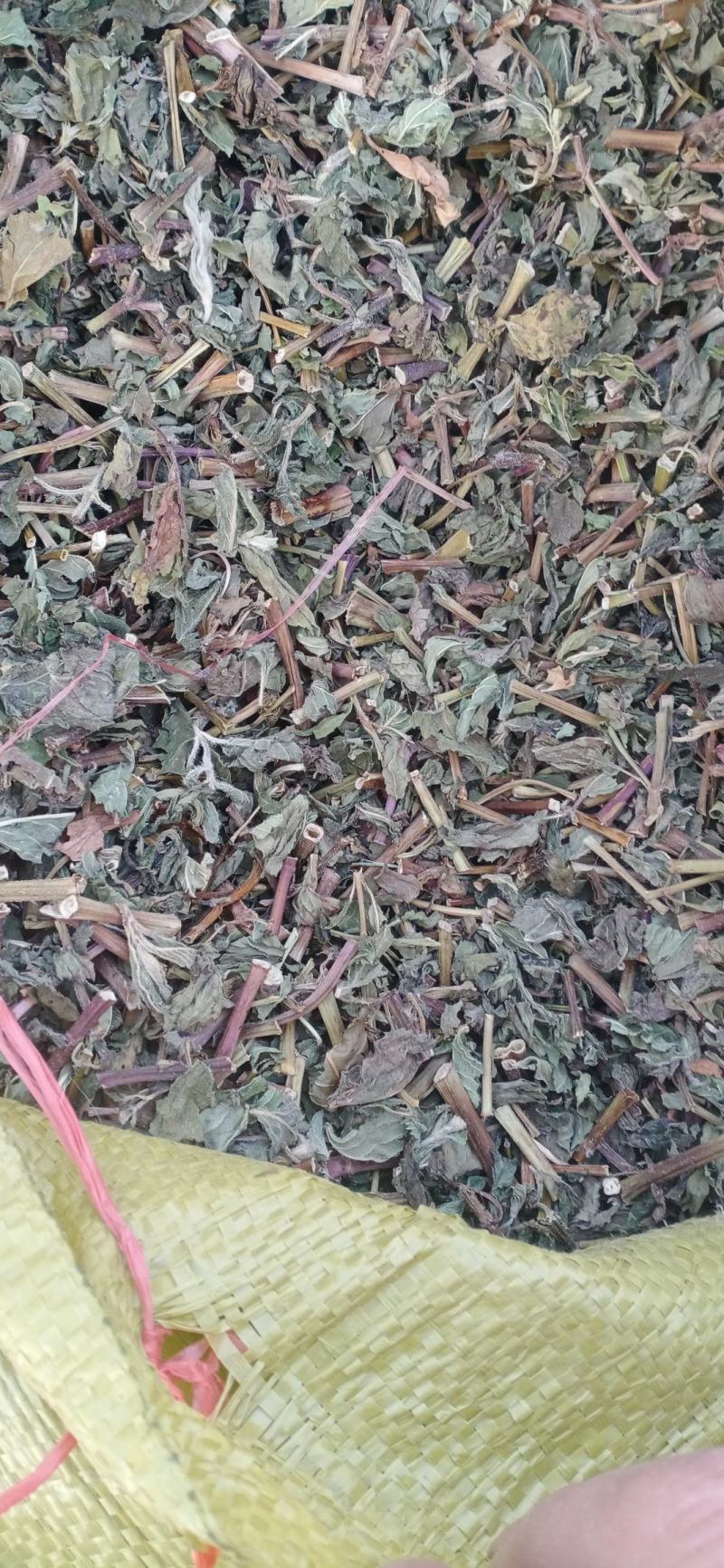 【薄荷】卜合产地自销产地一手货源大货供应规格齐全
