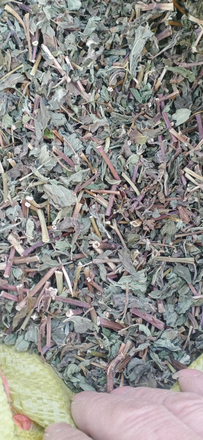 【薄荷】卜合产地自销产地一手货源大货供应规格齐全