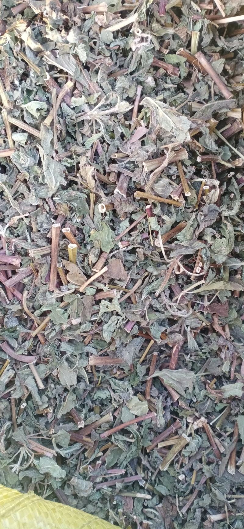 【薄荷】卜合产地自销产地一手货源大货供应规格齐全