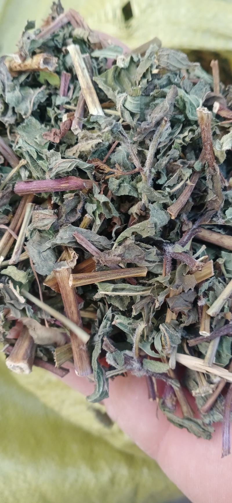 【薄荷】卜合产地自销产地一手货源大货供应规格齐全