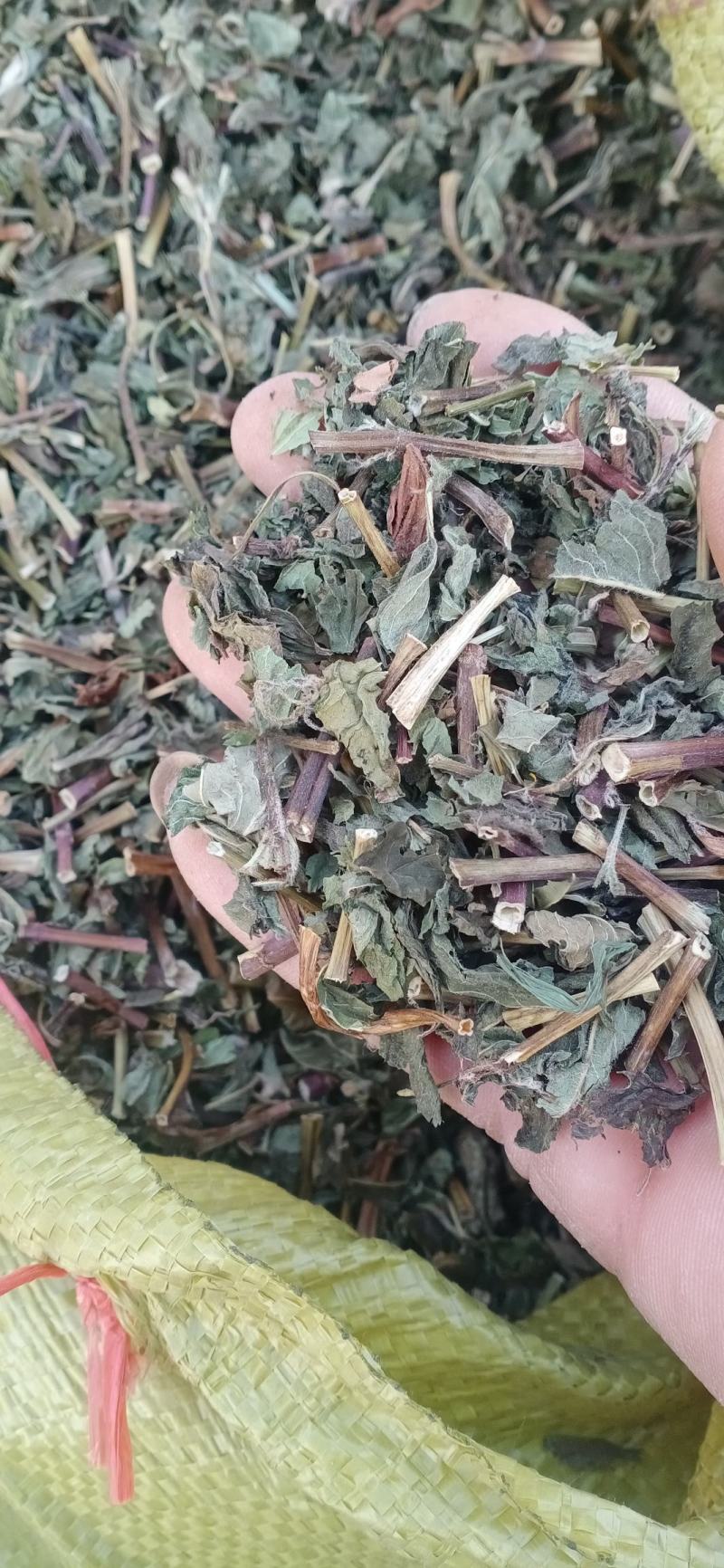 【薄荷】卜合产地自销产地一手货源大货供应规格齐全