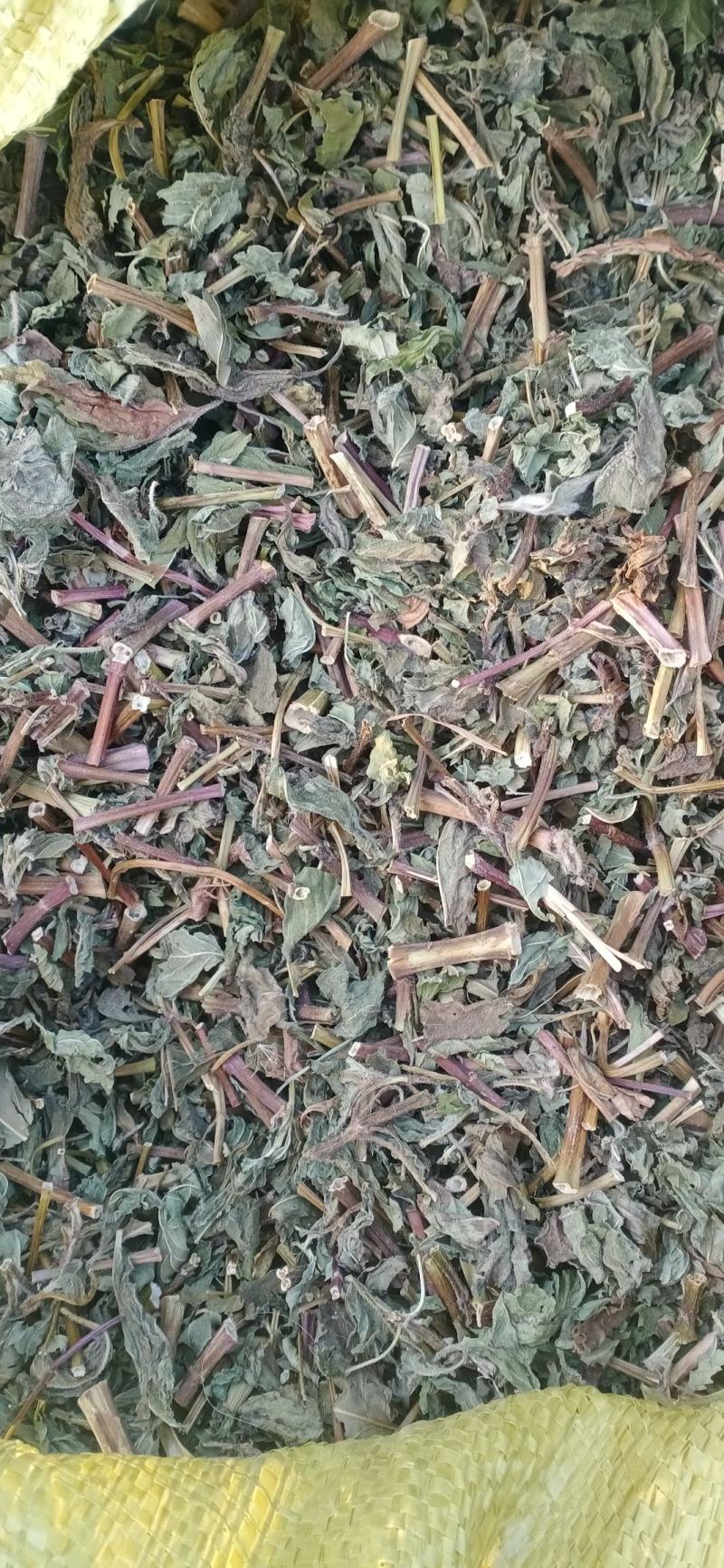 【薄荷】卜合产地自销产地一手货源大货供应规格齐全