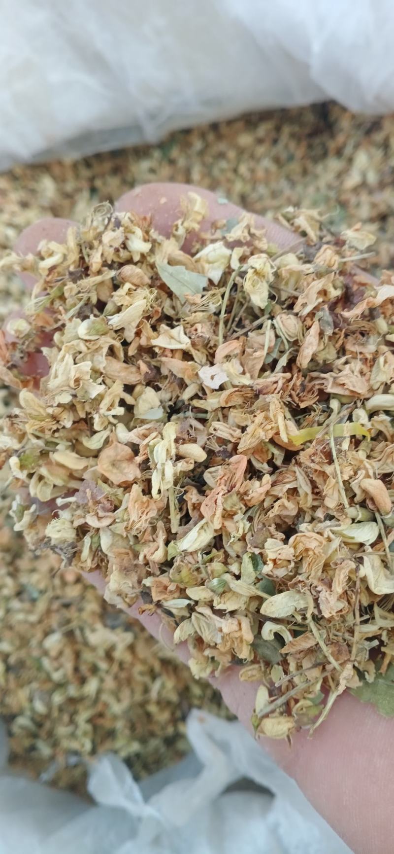 【槐米】槐花产地一手货源大货供应规格齐全量大优惠。