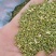【槐米】槐花产地一手货源大货供应规格齐全量大优惠。