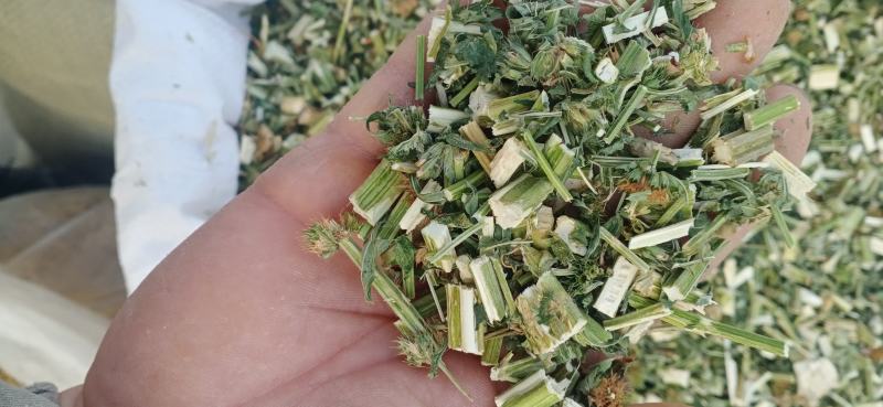 【益母草】自产自销产地一手货源大货供应规格齐全量大优惠。