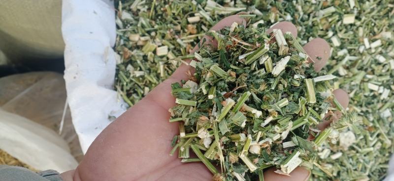 【益母草】自产自销产地一手货源大货供应规格齐全量大优惠。