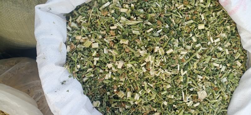 【益母草】自产自销产地一手货源大货供应规格齐全量大优惠。