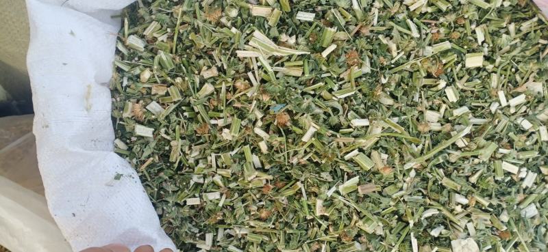 【益母草】自产自销产地一手货源大货供应规格齐全量大优惠。