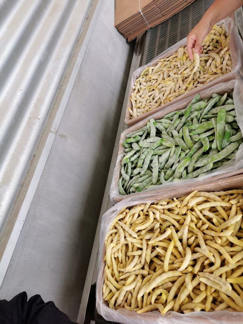 东北黑土地特产速冻豆角