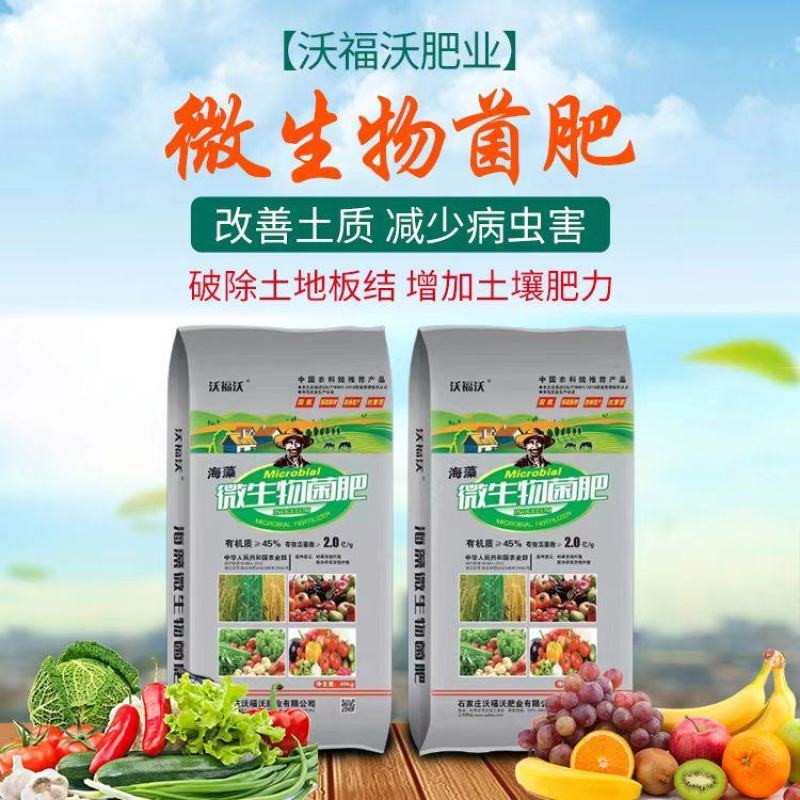 微生物菌肥有机肥海藻有机菌肥颗粒粉剂现货