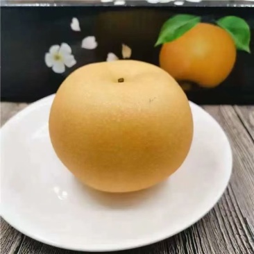 秋月梨