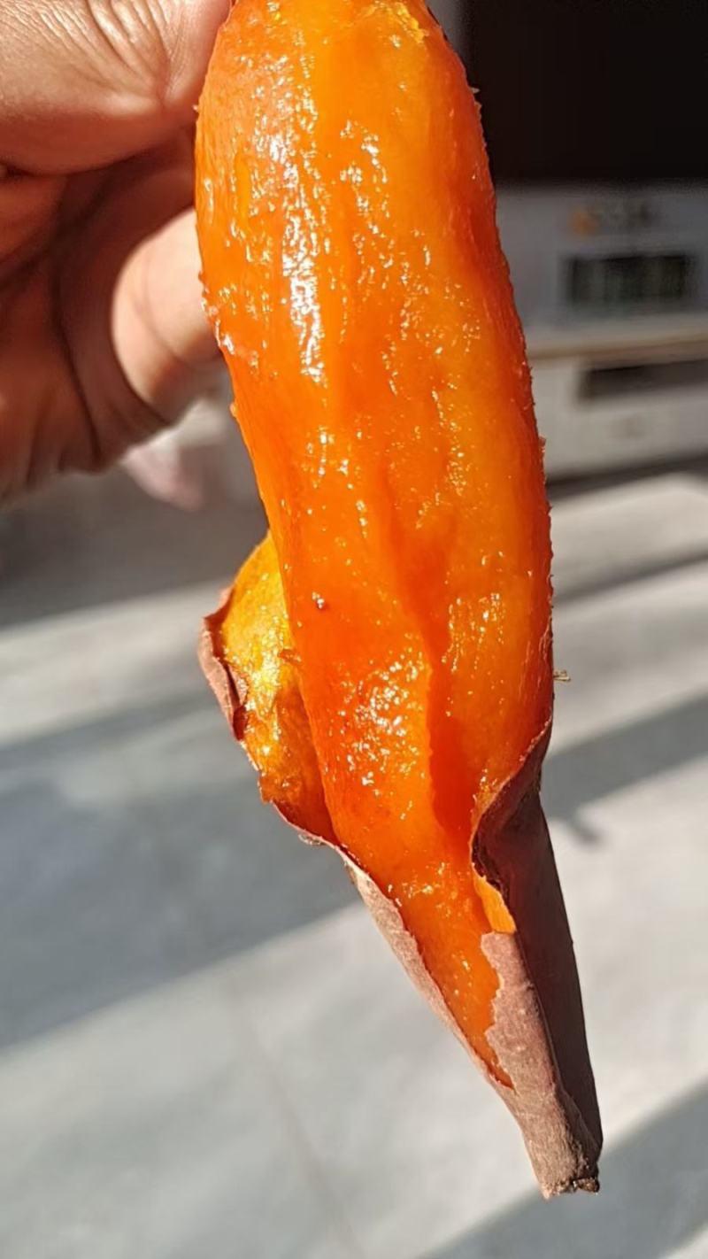 山东夏津地瓜产业基地大量供应，烟薯25，各种规格的货