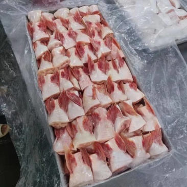 新鲜冷冻巴沙鱼鳍巴沙鱼翅20斤巴沙鱼刺鱼下巴商用食堂