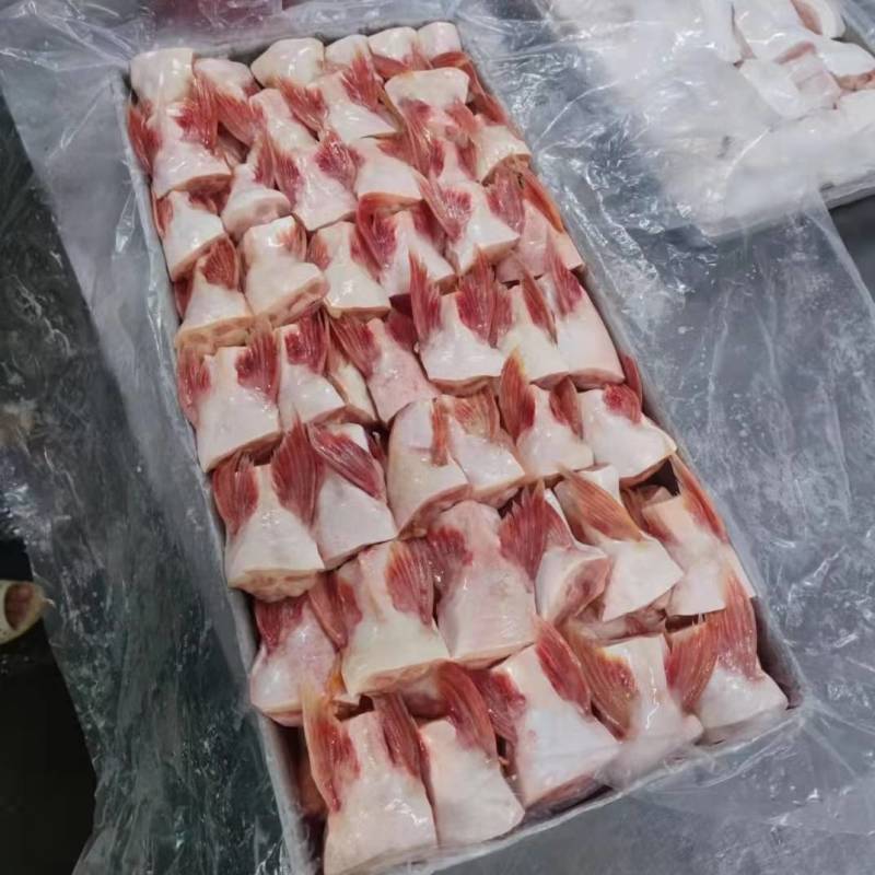 新鲜冷冻巴沙鱼鳍巴沙鱼翅20斤巴沙鱼刺鱼下巴商用食堂