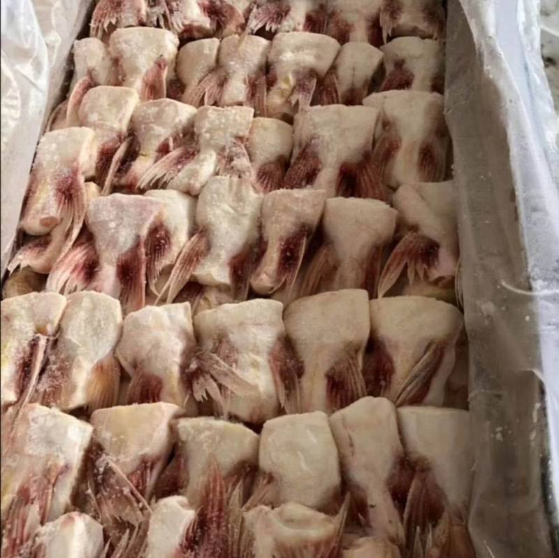 新鲜冷冻巴沙鱼鳍巴沙鱼翅20斤巴沙鱼刺鱼下巴商用食堂