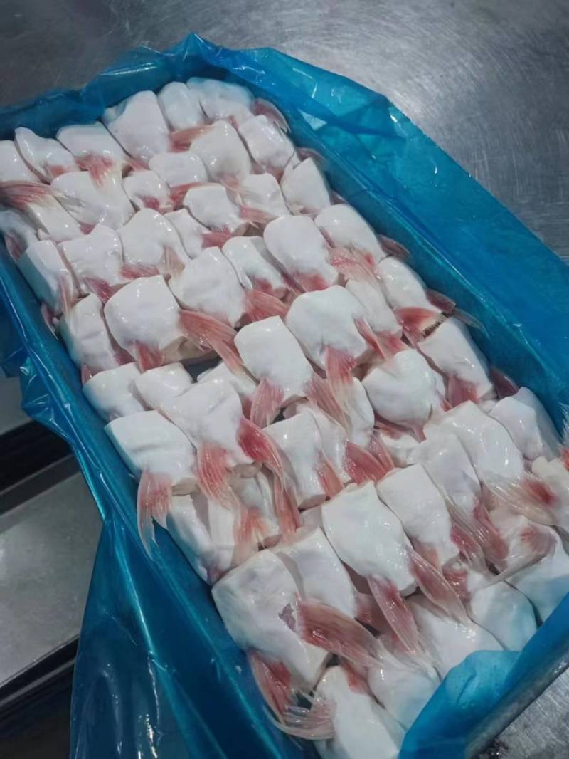 新鲜冷冻巴沙鱼鳍巴沙鱼翅20斤巴沙鱼刺鱼下巴商用食堂
