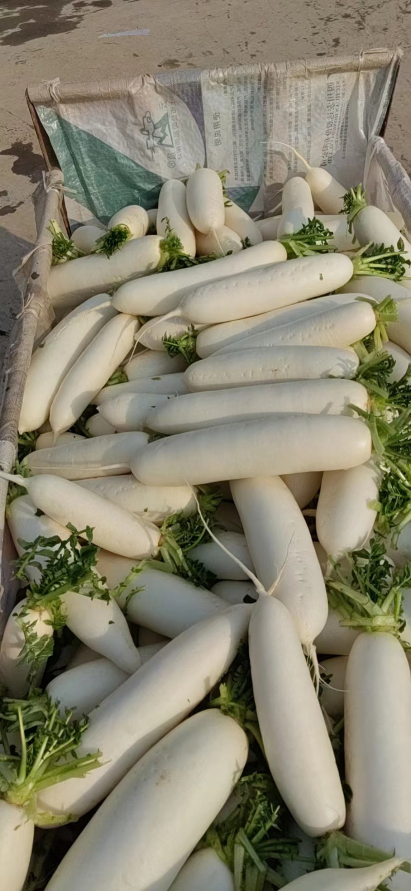 蔬菜