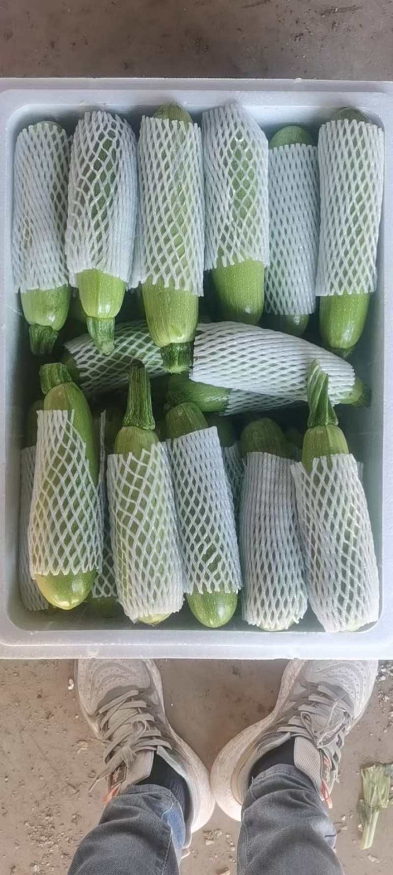 蔬菜