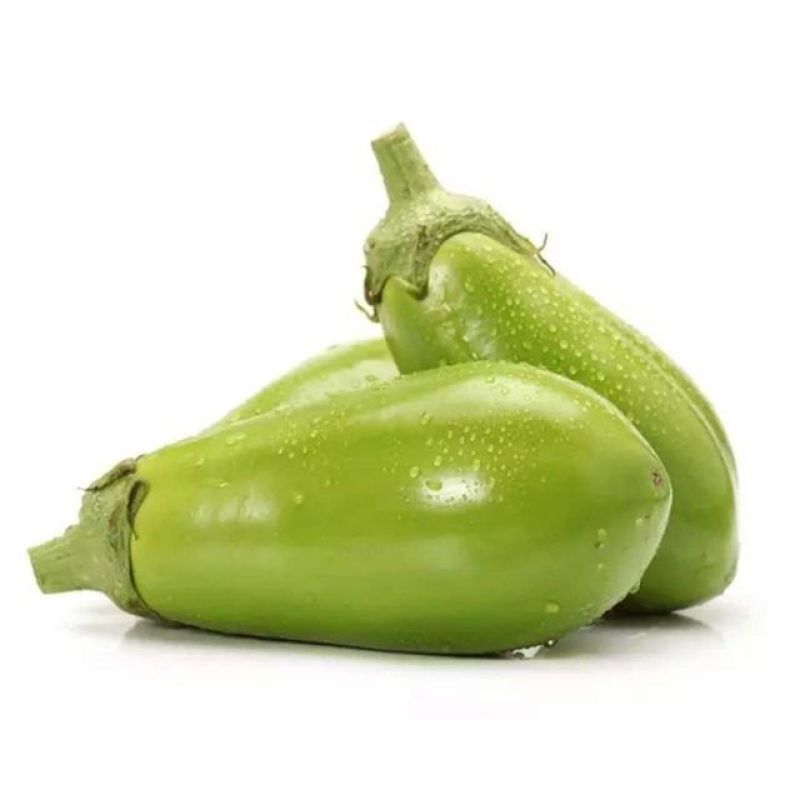 紫光圆茄苗青茄苗嫁接苗绿茄子苗黑紫茄子苗包回收