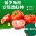 攀枝花米易普罗旺斯沙瓢西红柿硬粉红番茄电商一件代发