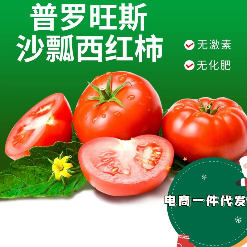 攀枝花米易普罗旺斯沙瓢西红柿硬粉红番茄电商一件代发