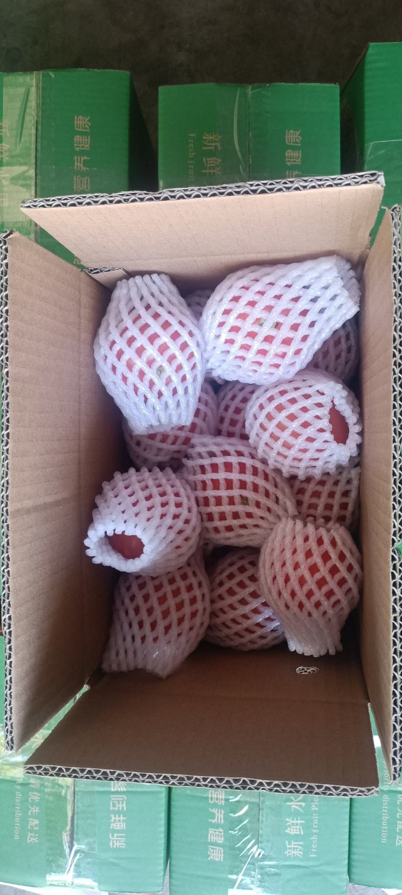 攀枝花米易普罗旺斯沙瓢西红柿硬粉红番茄电商一件代发