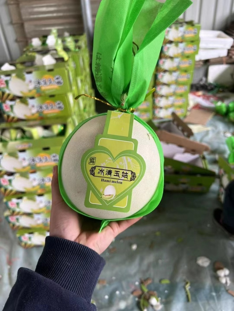 山东玉菇甜瓜大量有货玉菇甜瓜口感香甜酥软，糖度高