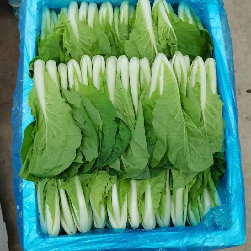 精选箱装，上海青，小白菜