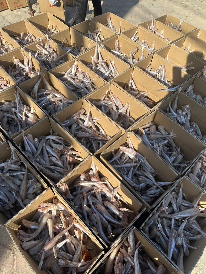 扒皮红娘子鱼，也称红头鱼厂家供应，电商小包装供