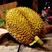 【榴莲代发】泰国金枕榴莲2～10斤装热带榴莲水果一件代发