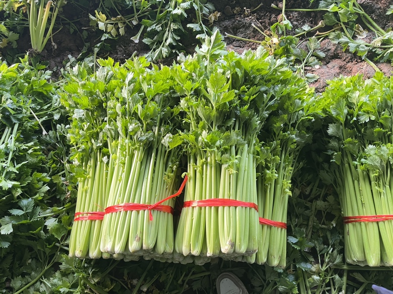 西芹水饺成品图