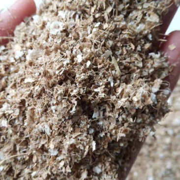 大量供应花生壳粉，无土无膜猪饲料，质量很好量大优