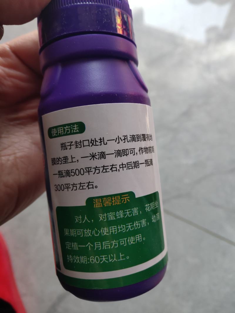 白粉一滴净大棚果蔬专用草莓甜瓜黄瓜西瓜冬瓜辣椒茄子等