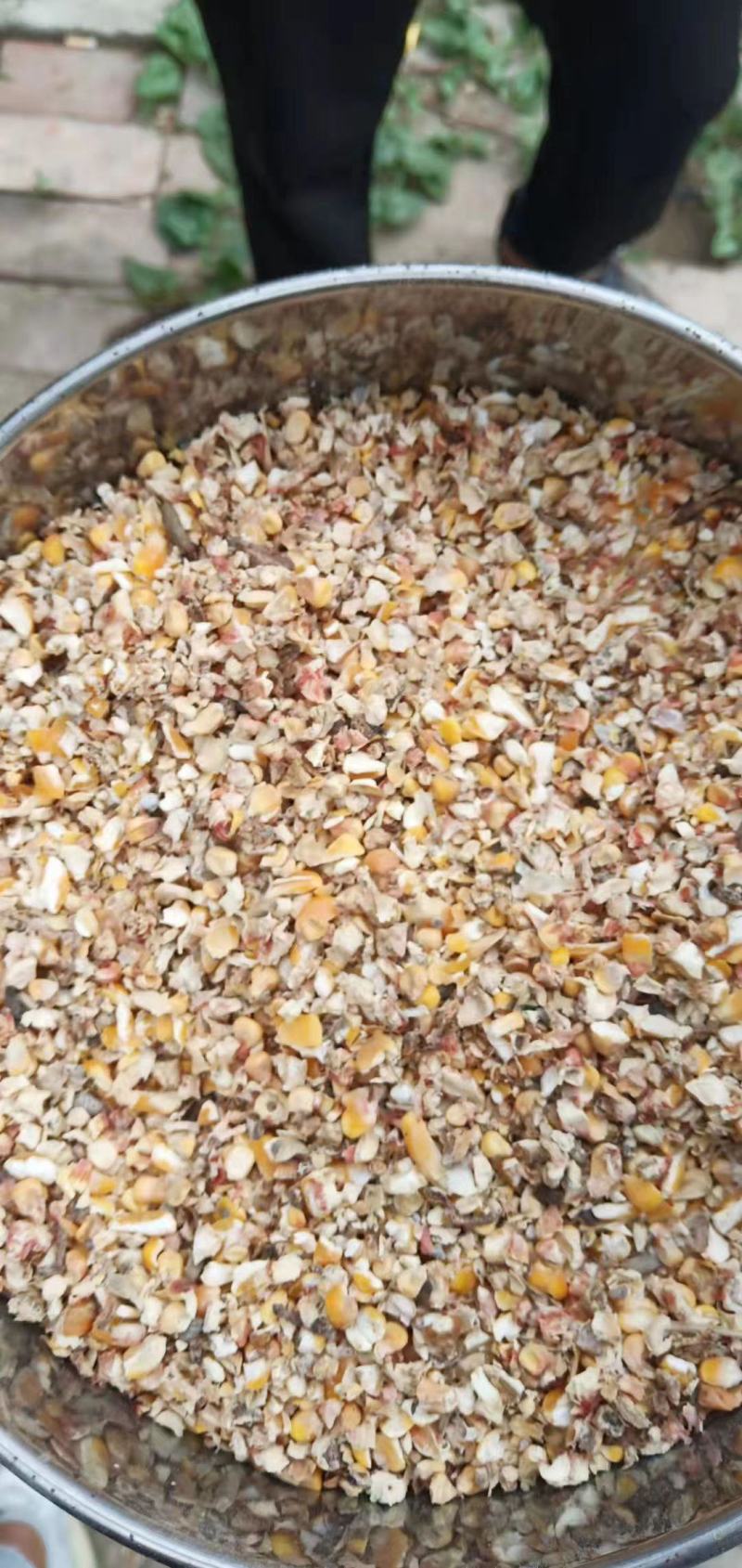 大量供应碎玉米猪牛羊饲料碎玉米量大从优