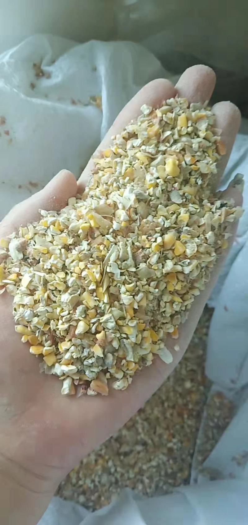 大量供应碎玉米猪牛羊饲料碎玉米量大从优