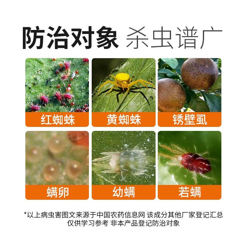 34%螺螨酯杀螨剂果树柑橘蔬菜红蜘蛛专用药螨虫螺螨脂农药