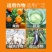 34%螺螨酯杀螨剂果树柑橘蔬菜红蜘蛛专用药螨虫螺螨脂农药